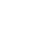 BNT Logo